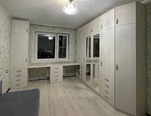 Рабочая зона модель r290 купить в Солнечногорске